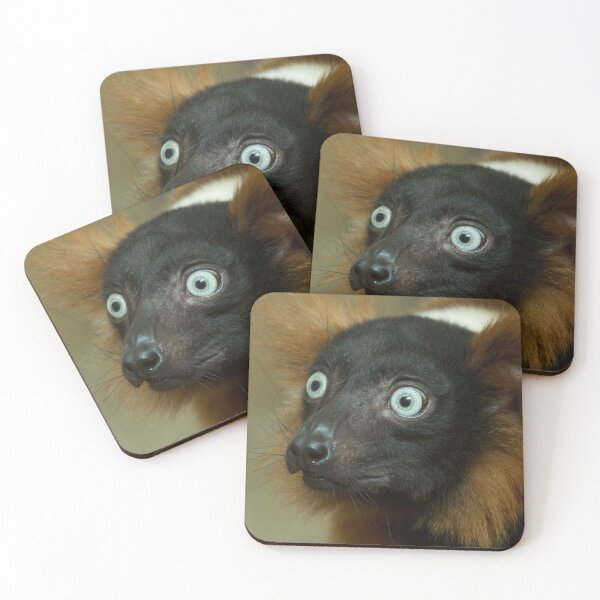 Item preview, Red Ruffed Lemur designed and sold by RapTops.