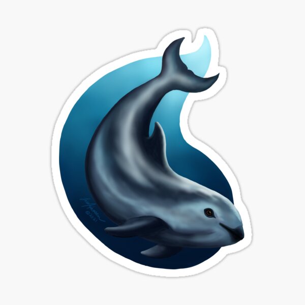 Vaquita: Panda of the Sea Sticker
