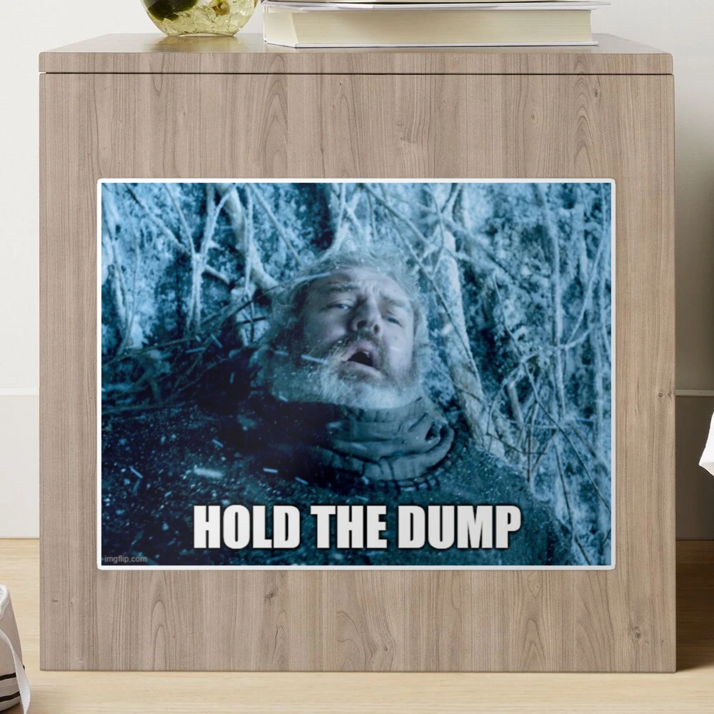 Hold the dump, crypto MEME