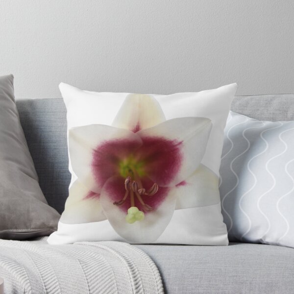 Item preview, Lilium Triumphator = 'Zanlophator' designed and sold by Chris Burrows.