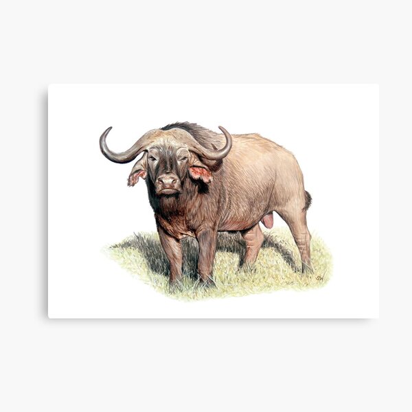 Item preview, Buffalo Painting designed and sold by SandraWarmerdam.