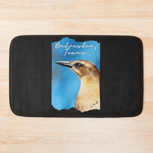 Item preview, Bird at Galveston, Texas Original Photography Art by Texanlisa designed and sold by speakupandshine.