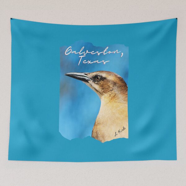 Item preview, Bird at Galveston, Texas Original Photography Art by Texanlisa designed and sold by speakupandshine.