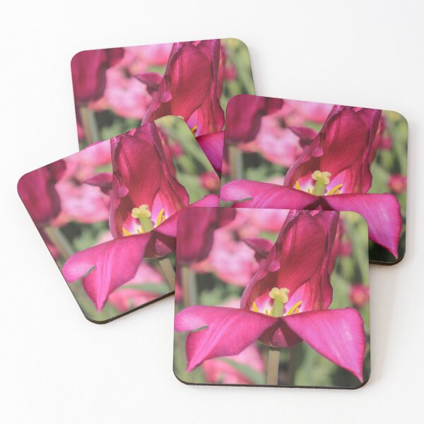 Item preview, Edgy Tulip designed and sold by Gary Horner.