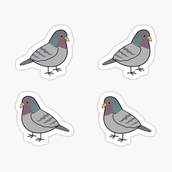 Pidgeons Sticker