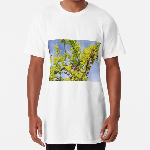 Red Berries and Blue Sky Long T-Shirt