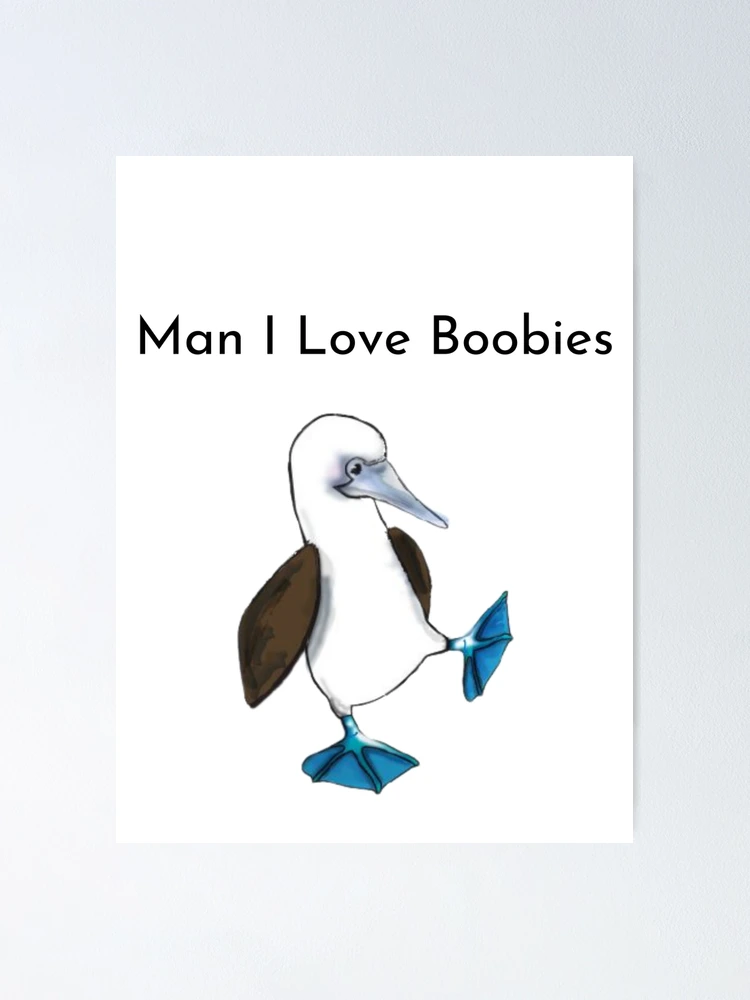 I Love Boobies Blue Footed Boobie Bird Poster