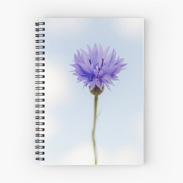 Item preview, Cornflower designed and sold by JEZ22.