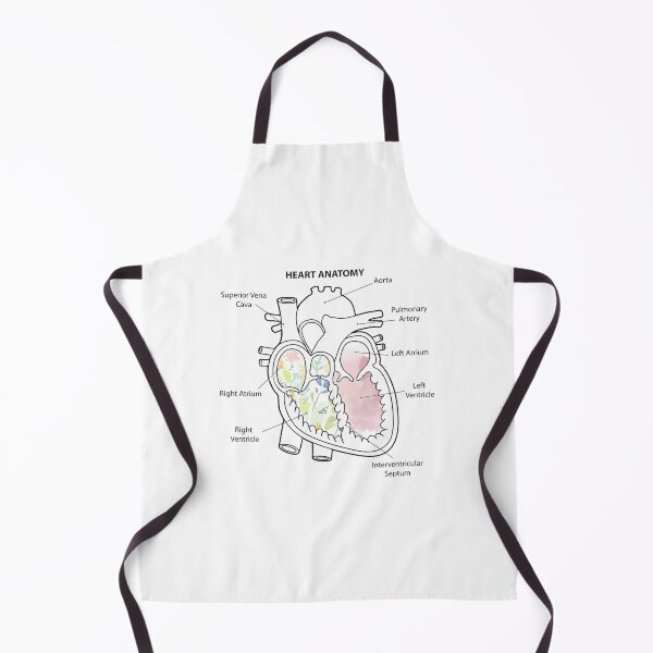 Item preview, Right Chamber of the Human Heart Anatomy designed and sold by Independence arrival.