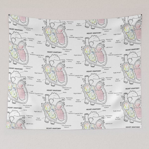 Item preview, Right Chamber of the Human Heart Anatomy designed and sold by Independence arrival.