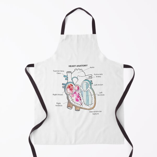 Item preview, Right Chamber of the Human Heart Anatomy designed and sold by Independence arrival.