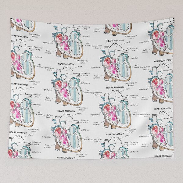Item preview, Right Chamber of the Human Heart Anatomy designed and sold by Independence arrival.