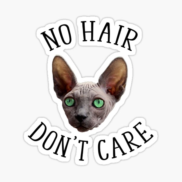 I M Too Sexy For My Hair Sticker By Croylec Redbubble