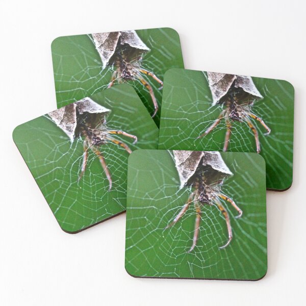 Item preview, The Spiders Home! designed and sold by Mickangelhere.