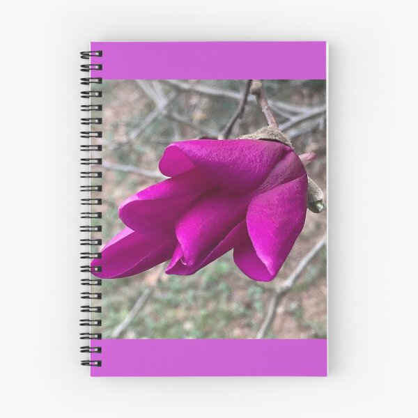 Item preview, Saucer Magnolia Opening Bloom designed and sold by Max Kindly.