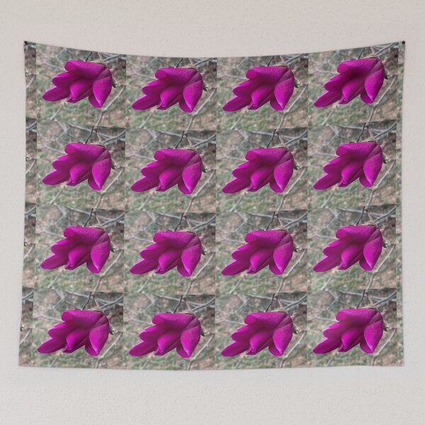 Item preview, Saucer Magnolia Opening Bloom designed and sold by Max Kindly.