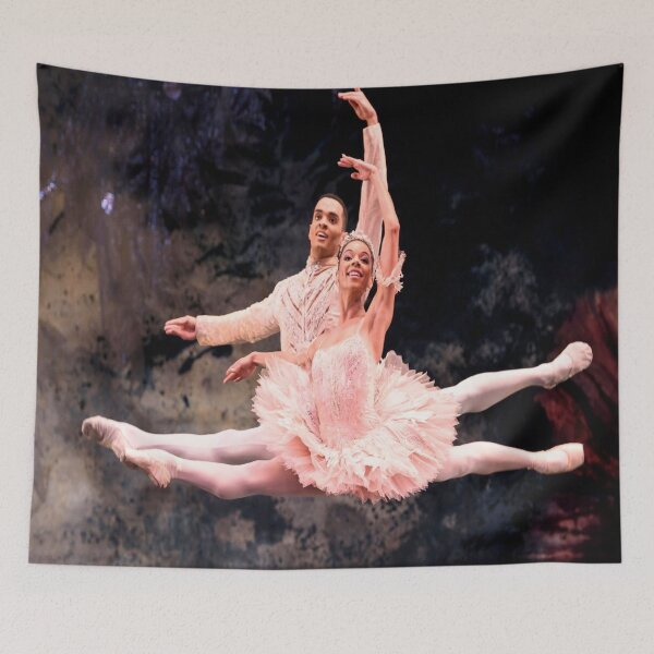 Item preview, Jumping Ballerina Dancers designed and sold by MrCsStores.