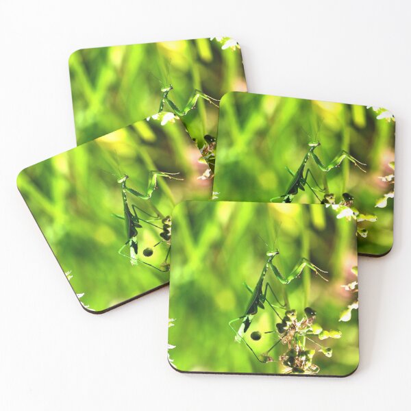 Item preview, Majestic Hunter - Preying Mantis designed and sold by Paul Yeatman.