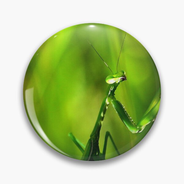 Item preview, Majestic Hunter - Preying Mantis designed and sold by Paul Yeatman.