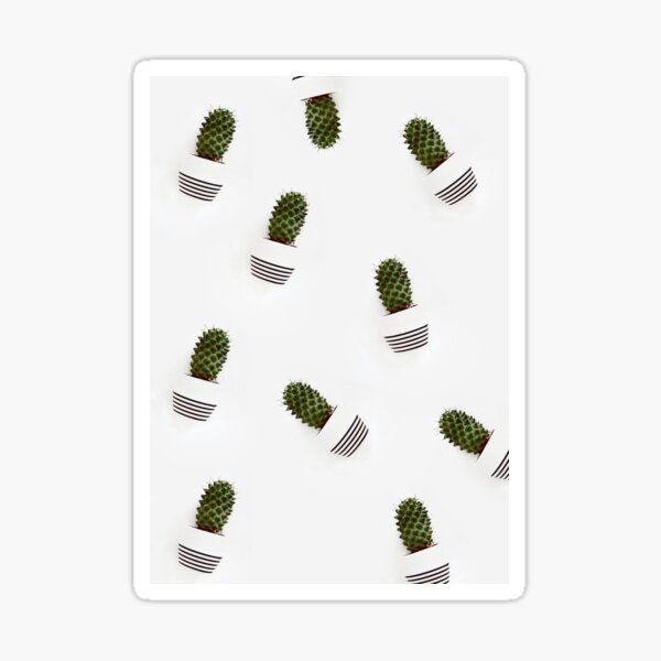 Cactaceae Pattern Sticker