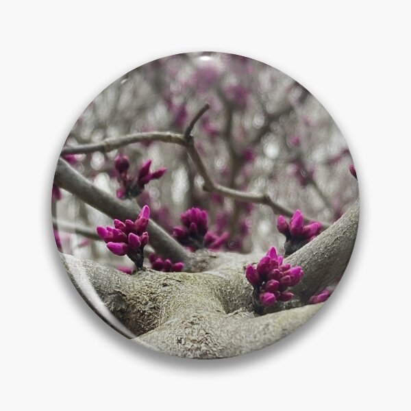 Item preview, Why They Call it "Redbud" designed and sold by Max Kindly.