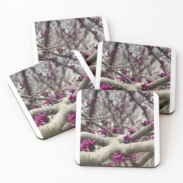 Item preview, Why They Call it "Redbud" designed and sold by Max Kindly.