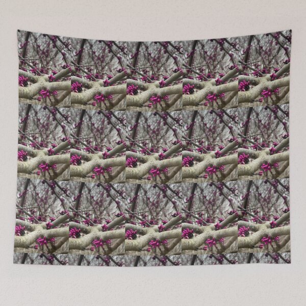 Item preview, Why They Call it "Redbud" designed and sold by Max Kindly.