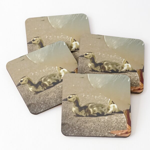 Item preview, Capaha Goslings II designed and sold by Madelyn Paige.