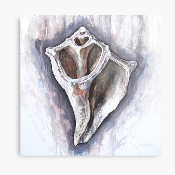 Knobbed Whelk Metal Print
