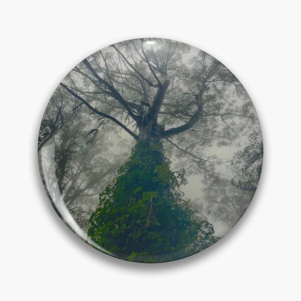 Item preview, Green Foliage vine growing on Australian Tree  designed and sold by kookakate.