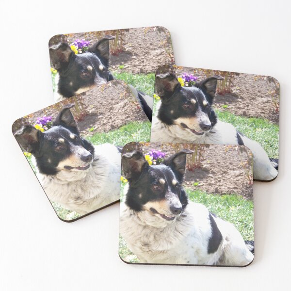 Item preview, Barry designed and sold by Babbler01.