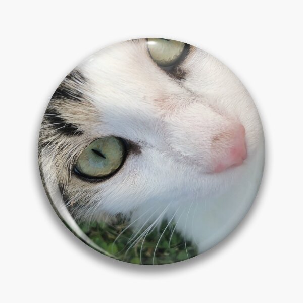 Item preview, Shio the Cat 1 designed and sold by Amospicazo.