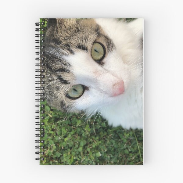 Item preview, Shio the Cat 1 designed and sold by Amospicazo.