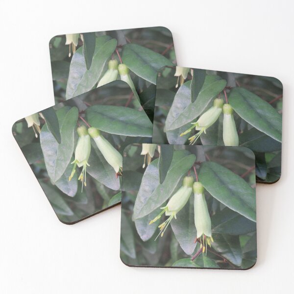 Item preview, Mountain correa designed and sold by greentiger1.