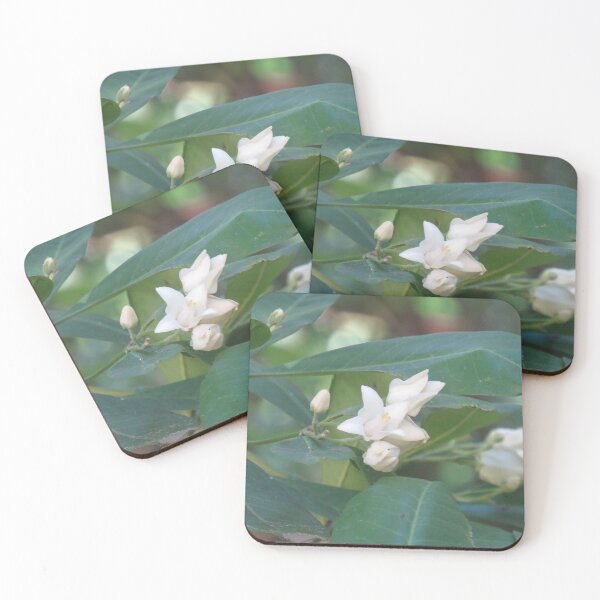 Item preview, Tropical white flowers designed and sold by greentiger1.