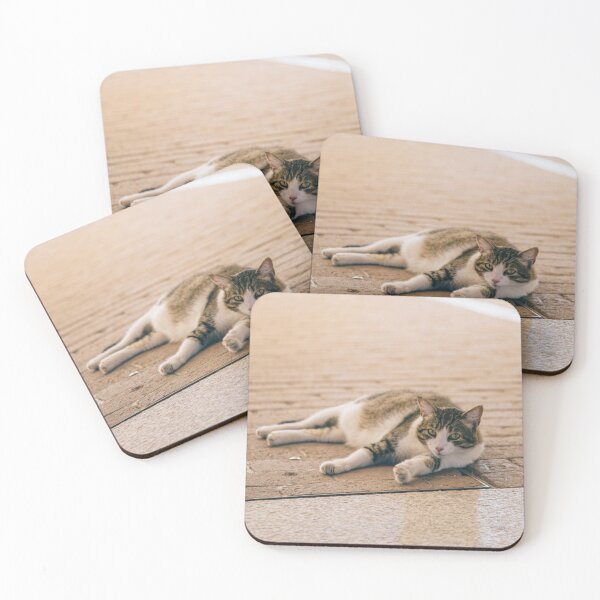 Item preview, Cat on the street designed and sold by GukjinKim.
