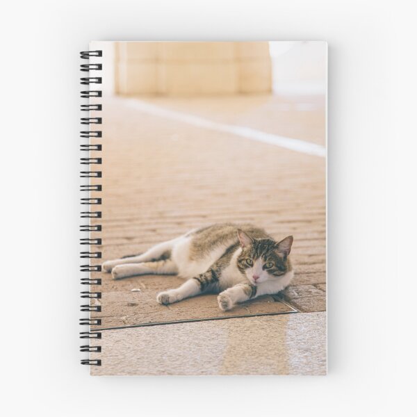 Item preview, Cat on the street designed and sold by GukjinKim.
