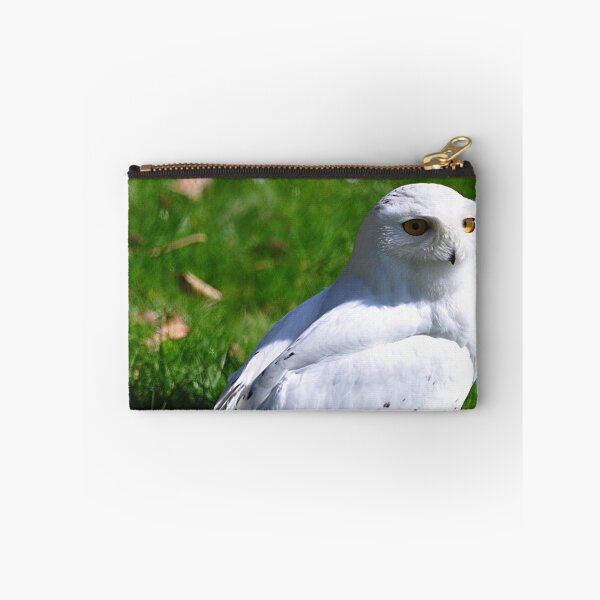 Item preview, Snowy Owl designed and sold by Declan Carr.