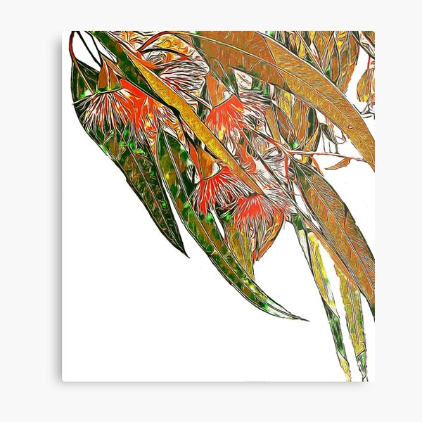 gum leaves in the front paddock Metal Print