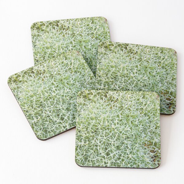 Item preview, Greenery and Foliage, Spring Vibes, Beautiful Outdoors designed and sold by 10pmCreations.