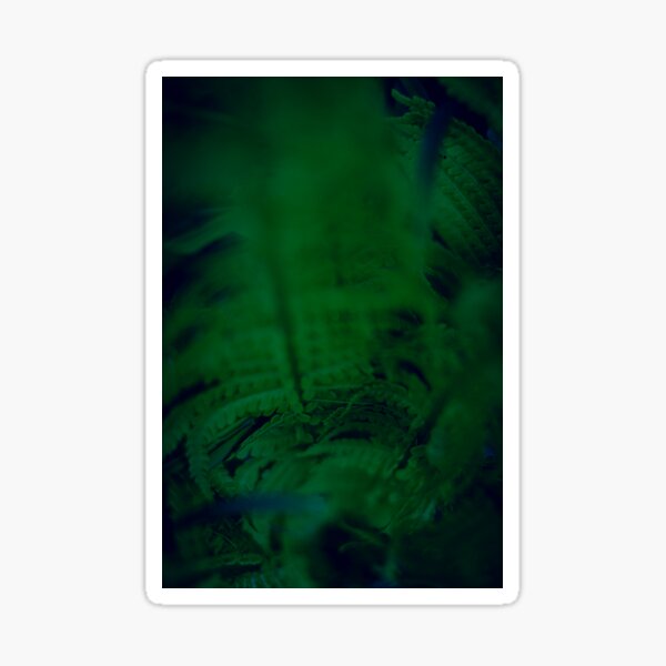 Fern love Sticker
