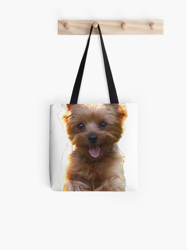 yorkie carry bag