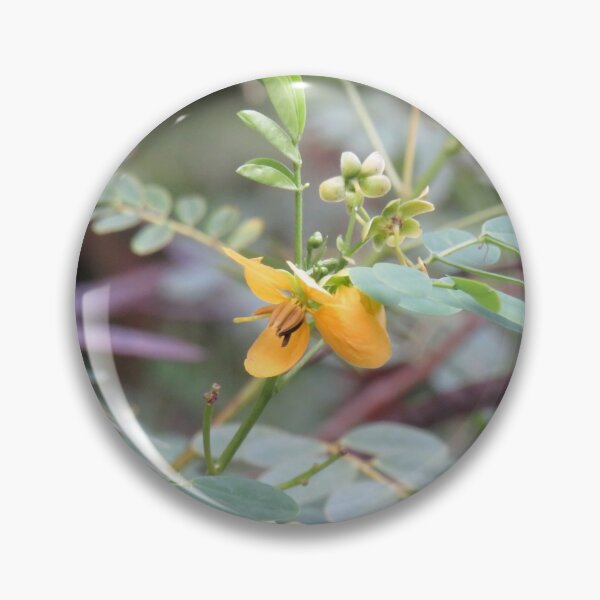 Item preview, Yellow senna flower designed and sold by greentiger1.
