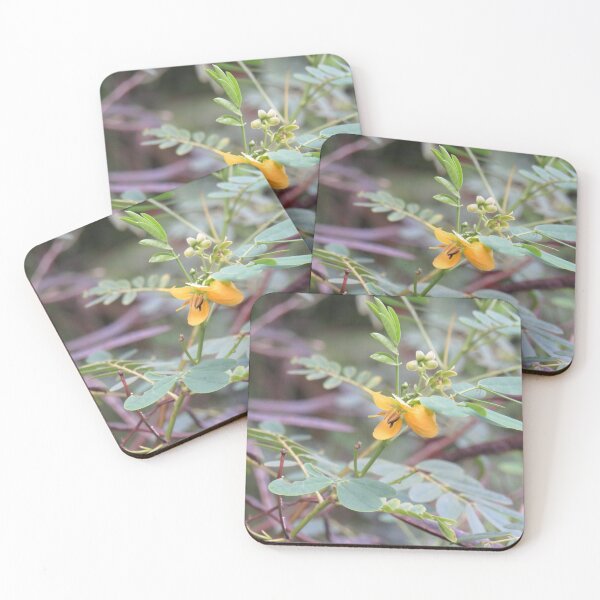 Item preview, Yellow senna flower designed and sold by greentiger1.
