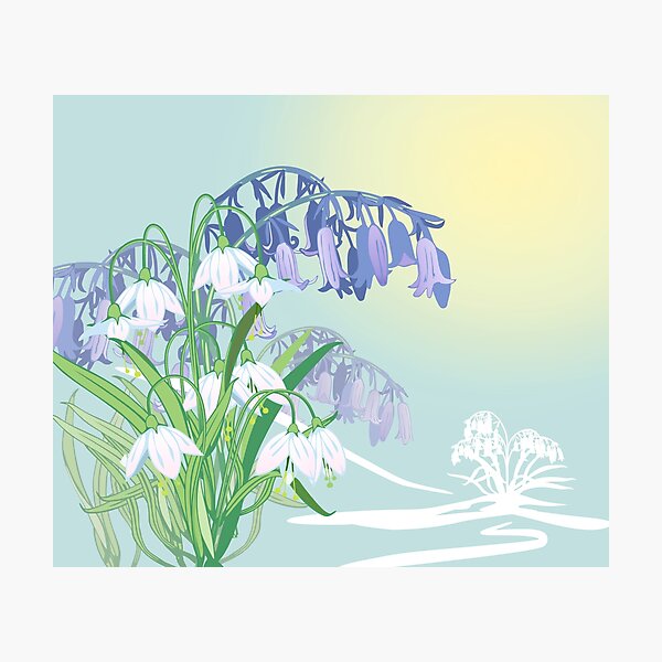 Bouquet 0003 - Hazy Day Photographic Print