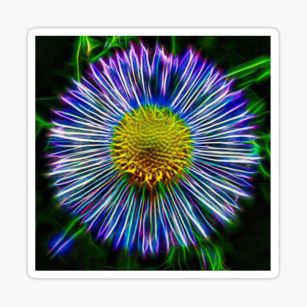 feinstrahl – erigeron annuus – エリゲロン ¦ Sticker