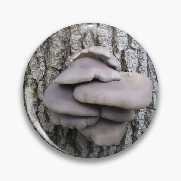 Item preview, Weird tree fungus designed and sold by greentiger1.
