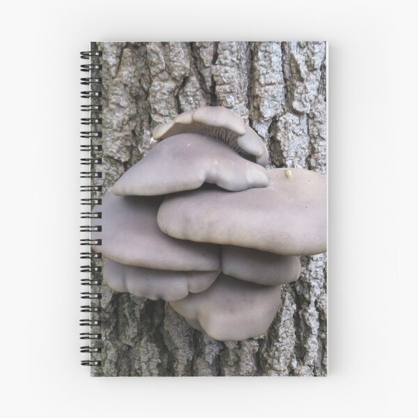 Item preview, Weird tree fungus designed and sold by greentiger1.