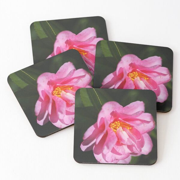 Item preview, Camellia In Pink And Yellow  designed and sold by Joy Watson - Natural Light Photography .