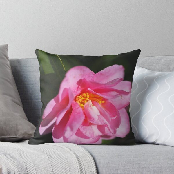 Artikelvorschau, Kamelie in Rosa und Gelb entworfen und verkauft von Joy Watson - Natural Light Photography .
